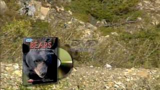 Bears of Our National Parks DVD