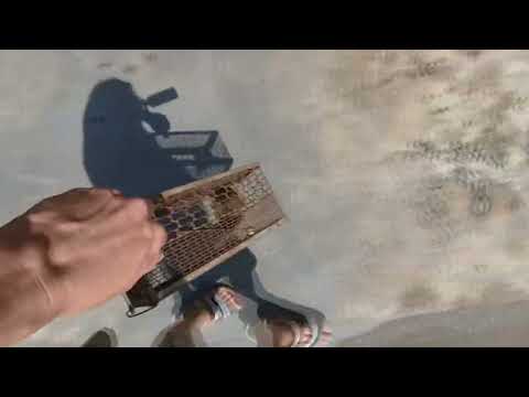 Jon Batiste   FREEDOM