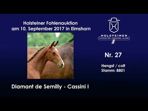 Nr. 27 v. Diamant de Semilly - Cassini I