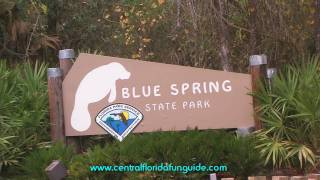 preview picture of video 'Blue Springs State Park'