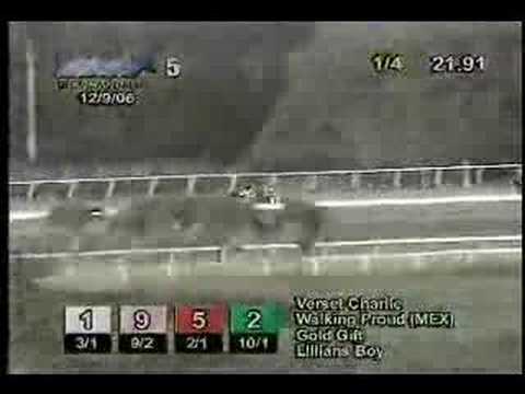 Copa Velocidad del Caribe