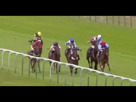 Ikigai wins on debut at Yarmouth