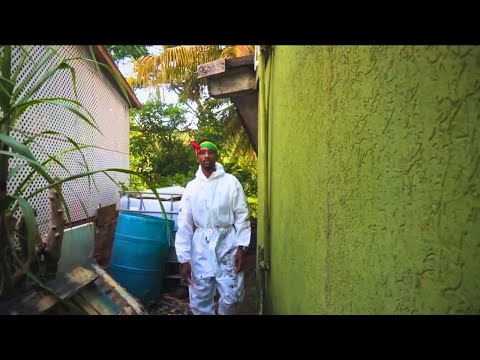 Maddis - Who Does Horn More (Official Video)