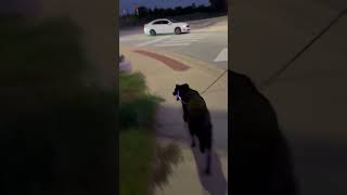 Why Endurance Sports are the MOST ZEN. Letting go is easier when you realize there is no ground.