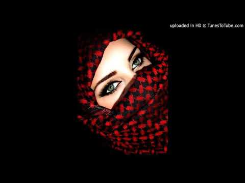 Pink Project - Disco Project 1982