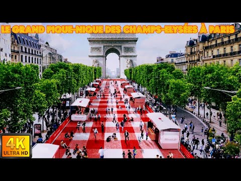 Giant picnic aux Champs Elysées Paris, France ???????? #walkthrough #4k #love #paris #france