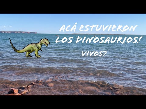 Tierra de Dinosaurios 🇦🇷 - Villa El Chocon, Neuquén 🦕 Patagonia Argentina, primeros pasos!