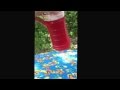Insta Freeze Powerade