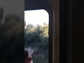 Vandals on the Frankston line