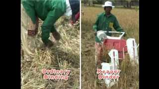 preview picture of video 'REAPER BINDER INDIA| REDLANDS ASHLYN MOTORS PLC | AUTOMATIC BUNDLING | RICE HARVESTER|THRISSUR'