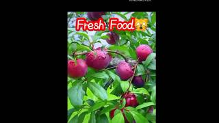 Fresh fruits 😍 #nature #fruit #funny #gaming #gameplay #games #hindisong #fresh #food #comedy