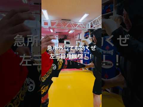 [キックボクシング　トレーニング　痛い] 急所外しても効くぜ！　左三日月蹴り！！　#キックボクシング #トレーニング #痛い