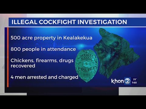 4 men charged for firearm offenses at illegal cockfight