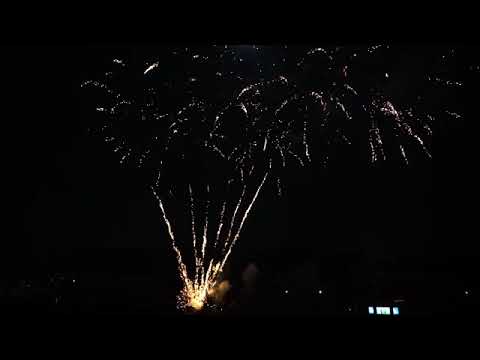 PIRANHA 49 SHOT 1,2 INCHI KIPAS