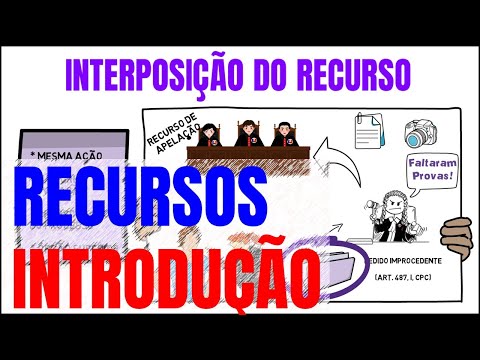 RECURSOS - INTRODUÇÃO e CONCEITO - Direito Processual Civil