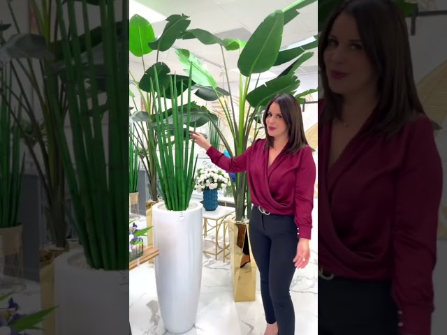 Vídeo relacionado con 6 Pcs Pampas Secas Decoracion Grandes 113 Cm Blanquecino Hierba De Pampa Simulada Hierba Artificial De Pampa para Sala De Estar, Hogar, Piso, Jarrón, Decoración Boho（Beige）