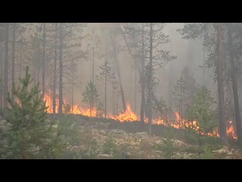 Analysis of extreme global weather