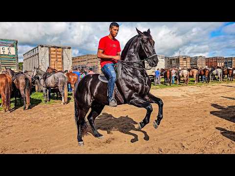 FEIRA DE CAVALOS DE CACHOEIRINHA PE, ÚLTIMA FEIRA DE ABRIL, QUINTA FEIRA, (30/04/26) #nordeste