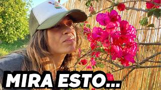 La primavera HA CAMBIADO mi finca 🌺 Vlog293
