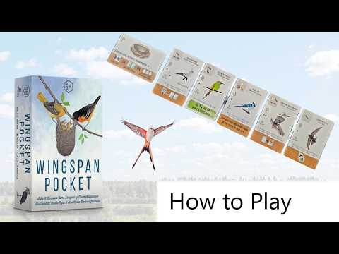 How to Play Wingspan Pocket