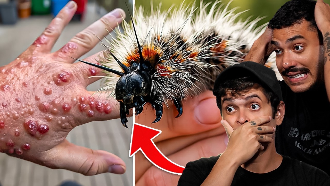 Nunca Toque Nisso! 30 CRIATURAS PEQUENAS que Podem Acabar com o Seu Dia