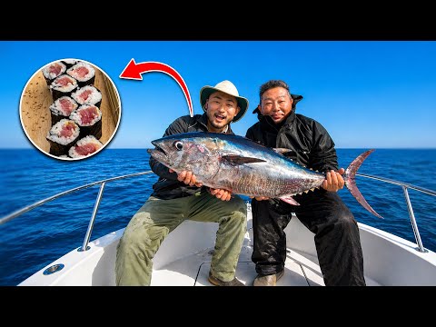 download lagu mp3 mp4 Sushi Fresh, download lagu Sushi Fresh gratis, unduh video klip Sushi Fresh