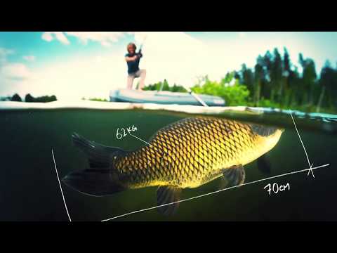 S JAKUBEM NA RYBÁCH, díl 13  Lov na CRITICALS boilies v podání Karla Nikla