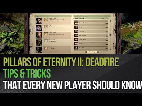 Pillars of Eternity II: Deadfire - Tips & tricks that every new player should know