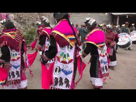 Danza Pujllay Comunidad Arazaya Canton Cohoni Municipio  De Palca la Paz Bolivia 2025