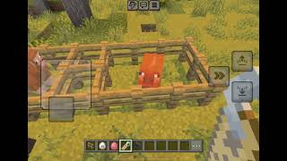 MAKING A PIG UPSIDE DOWN AND RAINBOW WOOL SHEEP IN MINECRAFT BUT IT DIDNT WORK