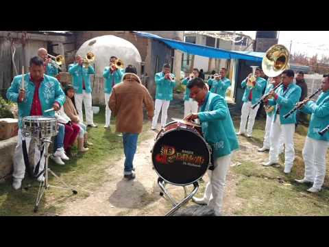 El Son de la Rabia Banda Perla de Michoacan Santa Catarina del Monte Texcoco 2016