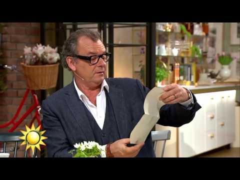 Maja, 8 år, skickade brev till Steffo - kom fram 2 år senare - Nyhetsmorgon (TV4)