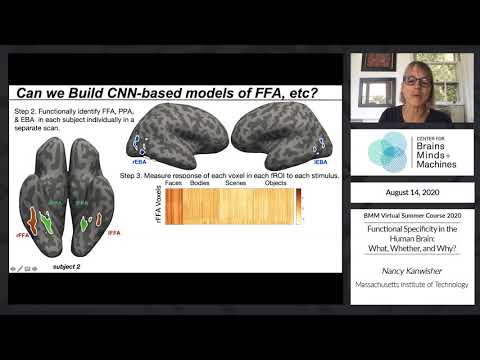 Functional Specificity in the Human Brain: What, Whether, and Why?
