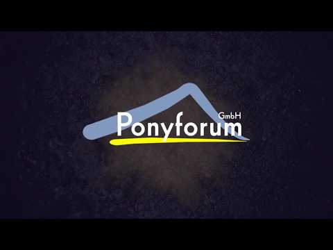 MARACUJA AG 3j. Fuchsfalbwallach v. Movie Star - Noir de Luxe