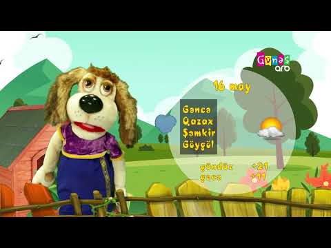 "Hava necə olacaq?" - 16 may 2025-ci il