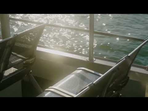 Video 4