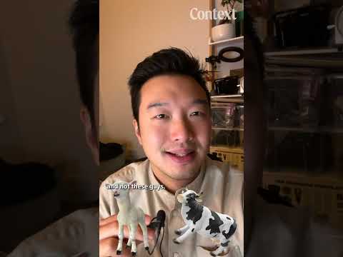 Lab-grown dairy, explained in 60 seconds