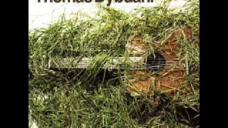 Something Real - Thomas Dybdahl