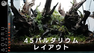 45cm水槽でパルダリウムレイアウト