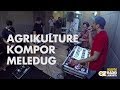 Agrikulture - Kompor Meleduk (Live)