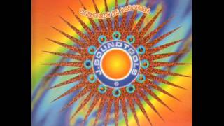 J. Soundtools -Whistling In Paradise - Riot Mix