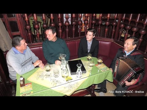Branko in Matej Mešl & Brane Klavžar & Janez Dolenc-Mavrica (v živo)