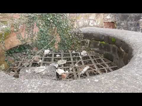 2021 04 03 Hohenburg