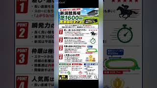 新潟競馬場芝1600m データ分析　馬券傾向　#競馬予想 #中央競馬予想 #競馬 #コース #馬券
