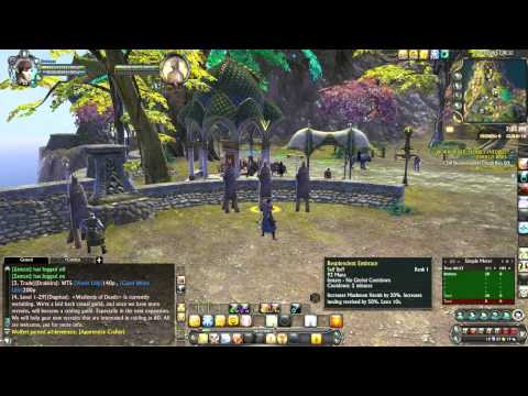 Rift - 2.5 Low Level Cleric Tanking Guide