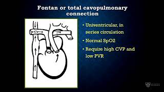 Anaesthesia in patients with adult congenital heart disease – Dr Lenore George