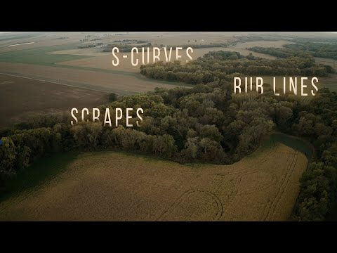 Building Whitetails - Hunting the First Phase of the Rut | SPYPOINT