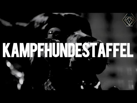 KOLLEGAH TYPE BEAT ZHT - KAMPFHUNDESTAFFEL