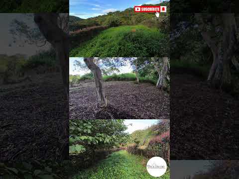🏡 ¡SE VENDEN LOTES EN MONIQUIRÁ – BOYACÁ!