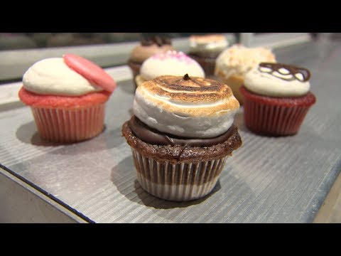 download lagu mp3 mp4 Little Miss Muffin Gold Coast, download lagu Little Miss Muffin Gold Coast gratis, unduh video klip Little Miss Muffin Gold Coast